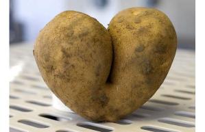 Potato Lovers Unite!